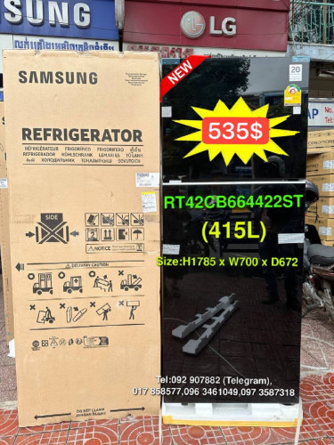 Samsung RT42CB664422ST