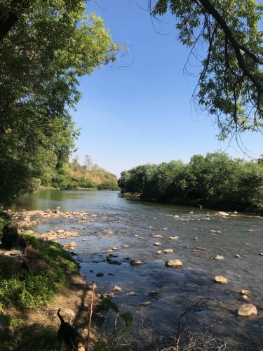 ដីជាប់ស្ទឹងសង្កែសម្រាប់ជួល