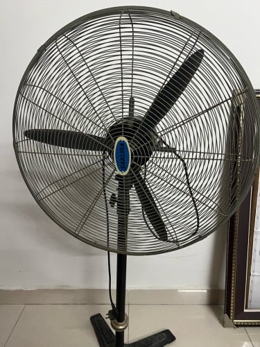 Fan