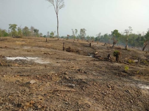 ដីលក់10ហាត់1ហាត1500$( ស្ទឹងត្រែង)