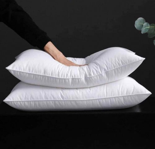 ក្នើយកើយខ្យល់ Down Pillow (2 pillow in a package)