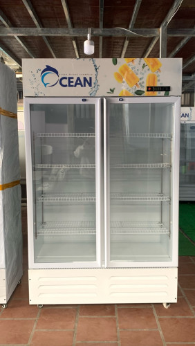 ទូរទឹកកក/2 door refrigerator