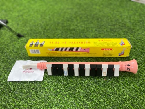 melodica 13key សម្រាប់កុមារហាត់លេង
