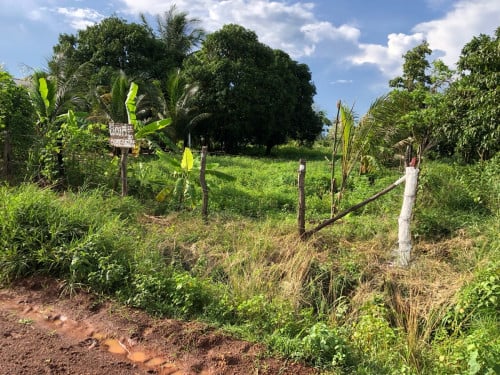 ដីលក់ក្បាល 13m បណ្ដោយ 90m នៅ ភូមិ រស្មីសាមគ្គី ឃុំ ជាំសង្កែ ស្រុក ភ្នំស្រួច ខេត្ត កំពង់ស្ពឺ ប្លង់រឹង