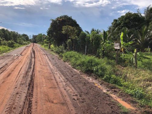 ដីលក់ក្បាល 13m បណ្ដោយ 90m នៅ ភូមិ រស្មីសាមគ្គី ឃុំ ជាំសង្កែ ស្រុក ភ្នំស្រួច ខេត្ត កំពង់ស្ពឺ ប្លង់រឹង