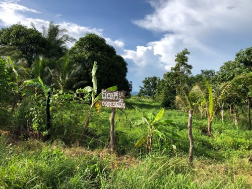 ដីលក់ក្បាល 13m បណ្ដោយ 90m នៅ ភូមិ រស្មីសាមគ្គី ឃុំ ជាំសង្កែ ស្រុក ភ្នំស្រួច ខេត្ត កំពង់ស្ពឺ ប្លង់រឹង
