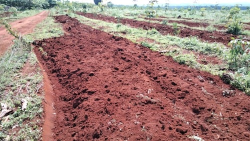 ដីខាងខេត្តរតនគិរី មណ្ឌលគីរី ក្រចេះ និងខេត្តស្ទឹងត្រែង