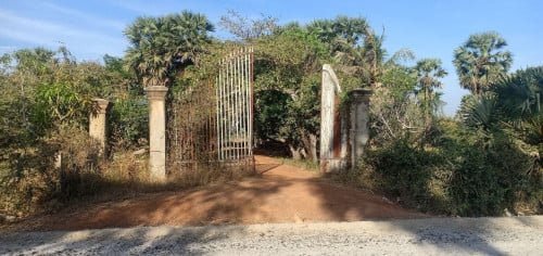 លក់ដីកសិកម្ម ទំហំ 21 ហិចតា ខេត្តកំពង់ឆ្នាំង (ត្បែងខ្ពស់)