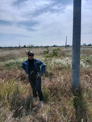 លក់ដីបន្ទាន់ប្រភេទដីឡូត៍ តម្លៃចចារបាន