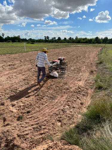 ដីលក់បន្ទាន់