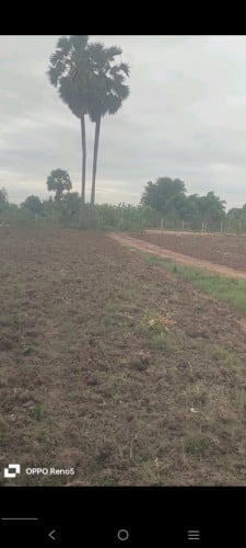 ដីលក់បន្ទាន់ទំហំជាងមួយហិចតាក្នុងក្រុងអរិយក្សត្រ ជិតកំពង់ចម្លង