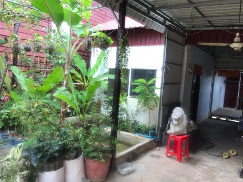 ផ្ទះលក់ 7x20  មួយមុឺនជាង ២បន្ទប់ដេក ចង្ក្រានបាយ១ បន្ទប់ទឹក១ សៀមរាប ភ្នំក្រោម ប្លង់ ភូមិ និង ឃុំ