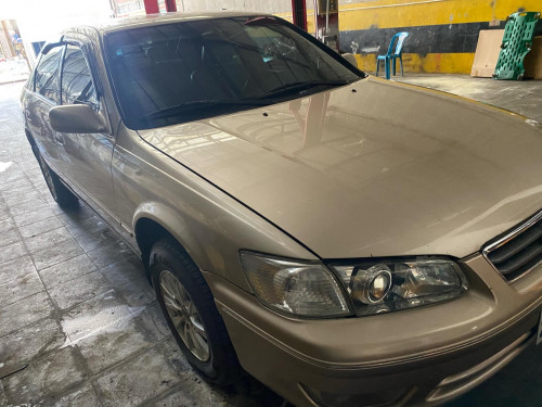 Camry97 សាច់ដែកខ្ចី 4500ចរចារ