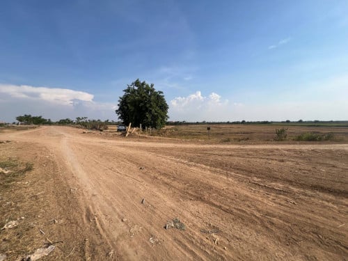 ដី2ហត លក់បន្ទាន់ក្រោមទីផ្សារ 50% នៅសំបូរមាស អន្លង់ស្លែង