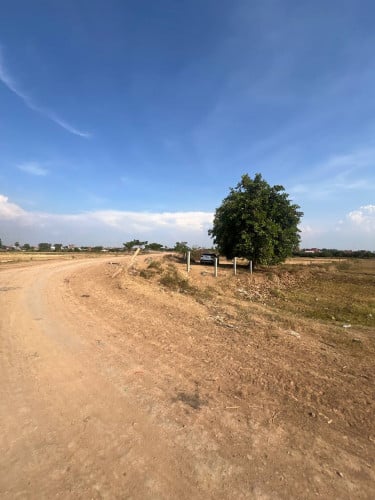 ដី2ហត លក់បន្ទាន់ក្រោមទីផ្សារ 50% នៅសំបូរមាស អន្លង់ស្លែង