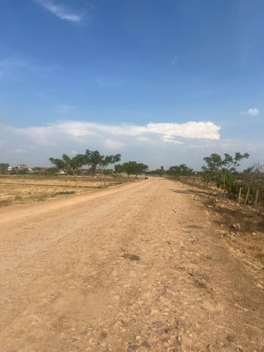 ដី2ហត លក់បន្ទាន់ក្រោមទីផ្សារ 50% នៅសំបូរមាស អន្លង់ស្លែង