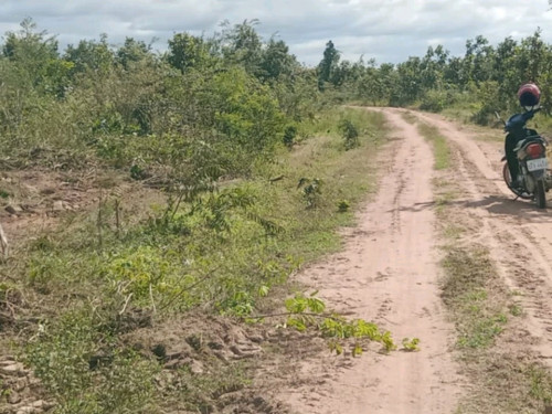 ដីលក់បន្ទាន់