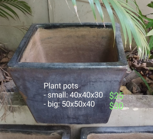 Plant pots / ផើងរុក្ខជាតិ