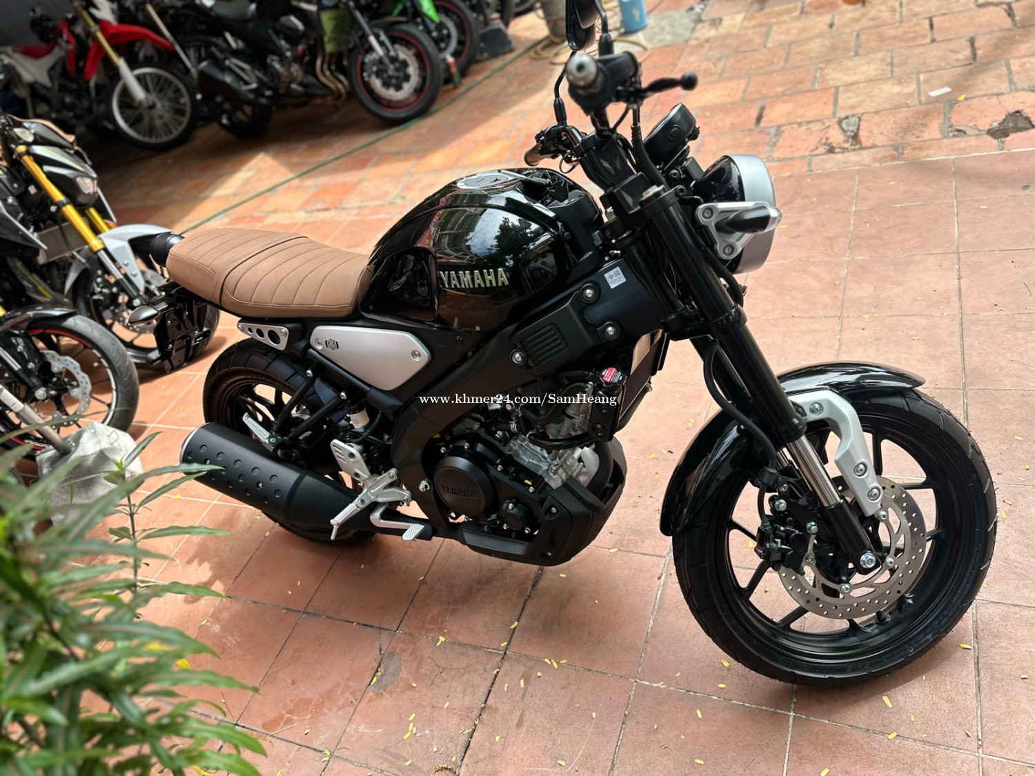 new bike yamaha xsr 155 price