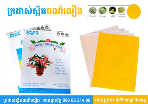 ក្រដាស់ចាប់សត្វល្អិត