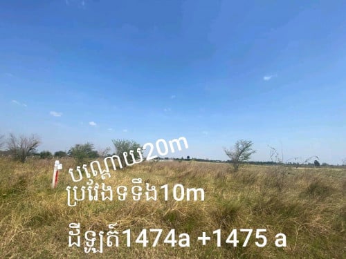 លឿនៗបងប្អូនដីលក់ 2 ឡូរ 10×20 ធំទីតាំងល្អនៅជិតរោងចក្រអាចធ្វើជាបន្ទប់ជួលឬផ្ទះជួលបានតម្លៃធូរៗ30000$ចរចា