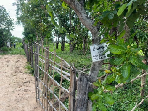 ដីលក់ខេត្តពោធិសាត់ (តម្លៃចរចារ)