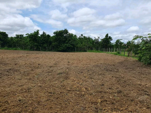 ដីលក់បន្ទាន់ម្ចាស់ផ្ទាល់