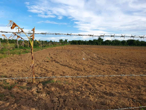 ដីលក់បន្ទាន់ម្ចាស់ផ្ទាល់