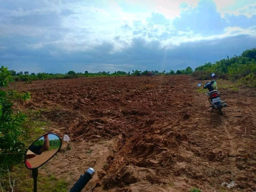 ដីលក់បន្ទាន់ម្ចាស់ផ្ទាល់