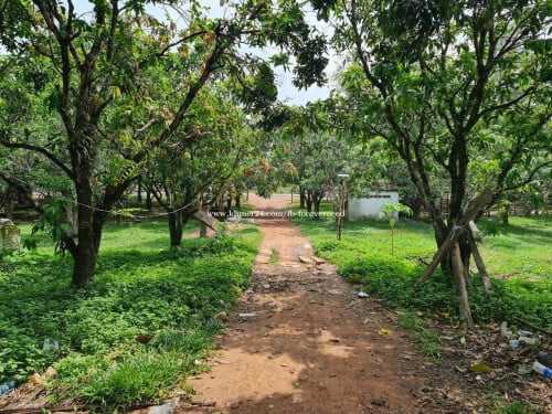 ដីលក់ផ្លូវ ៤៨