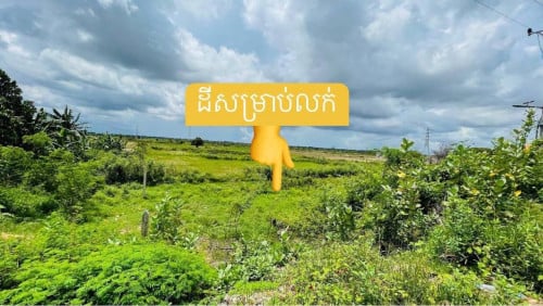 ដីដាក់លក់បន្ទាន់ (ឃុំកំពង់អុស)
