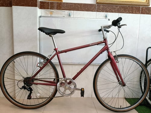 កង់មួយទឹកជប៉ុន