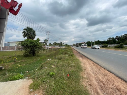 ដីធំល្អជាប់ផ្លូវ51 ប្លង់រឹង មានរបងសងខាងហើយ