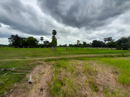 ដីលក់បន្ទាលទំហំ ដី38A ប្លង់រឹង