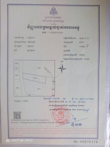 ដីនៅបន្ទាយស្រីលក់បន្ទាន់ តម្លៃក្រោមទីផ្សា