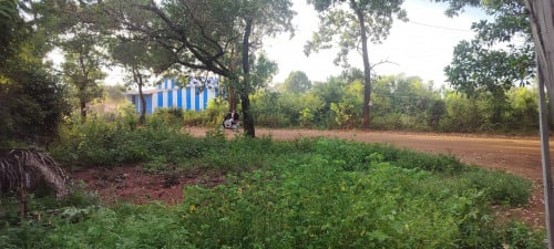 ដីលក់នៅភូមិវត្តឃុំស្រែណូយ