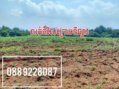 ដីចំការលក់ 2.5ហិចតា តំលៃ 12,000$