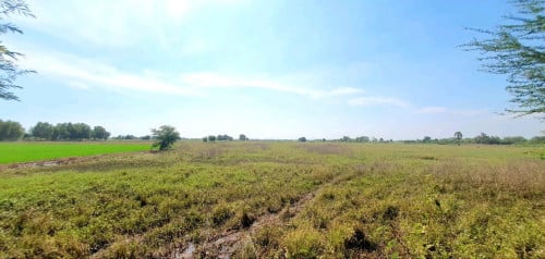 Land For Sale Urgent 12.5ha / Road Xi jinping