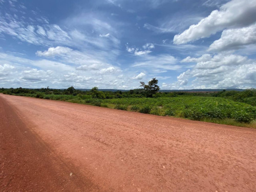ដីលក់ឡៃឡុងម្ចាស់ប្រញាប់លុយខ្លាំងនៅក្រុងរុនតាឯកខេត្តសៀមរាប