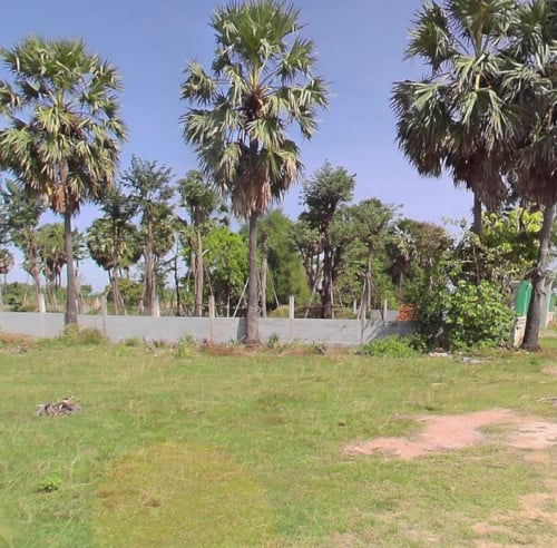ដីជួល ឬ លក់ ក្រោយសាលាកូរ៉េ ទំហំពេញខ្នាតល្អ 30*100