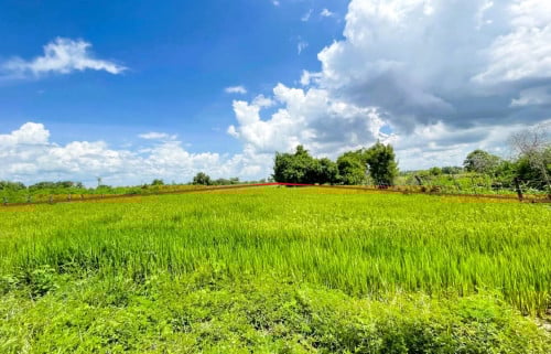 🏦Land for Urgent Sale (Negotiable), ABA Loan Available