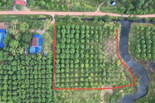 ដីលក់ នៅក្រុងកែប