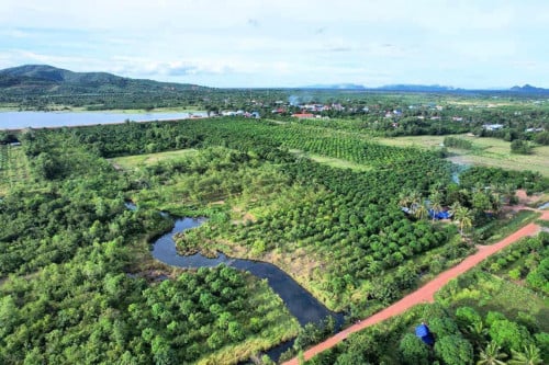 ដីលក់ នៅក្រុងកែប