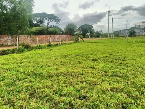 ដីជិតប្រលានថ្មី