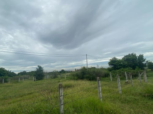 ដីលក់បន្ទាន់ ទំហំ 283m❷