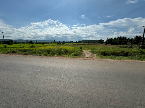 ដីជាប់ថ្នល់កៅស៊ូនៅលេីផ្លូវ41(ខេតត្កំពត)លក់បន្ទាន់ដីមានប្លង់រឹងស្រាប់