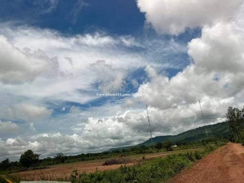 ដីលក់ស្វាយលើ