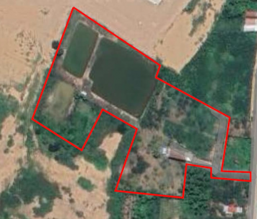 ដីលក់ទំហំ 25,000 m2 មានដំនាំហូបផ្លែច្រើន ពិសេសដើមមៀនប្រភេទសាច់ល្អៗ