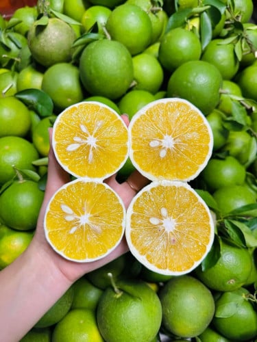 ក្រូចអូរខ្ជាយ💯%