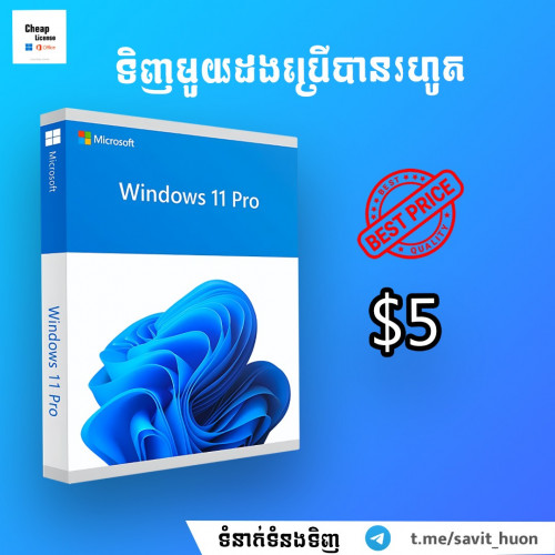 Windows 11 Pro License Key